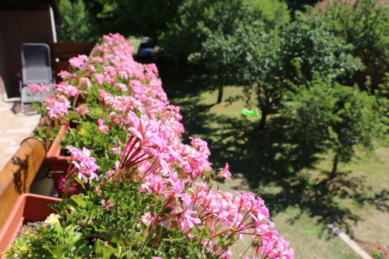 Holiday Home "Iris" Near Plitvice Lakes Rudanovac Luaran gambar